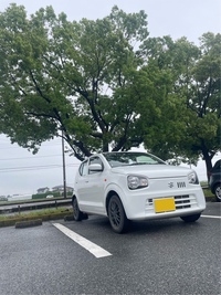 スズキ アルト