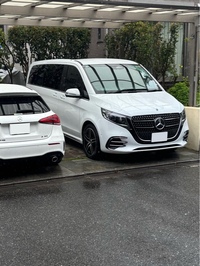 メルセデス・ベンツ Vクラス V220d ロング_RHD(AT_2.0)【MP202501】