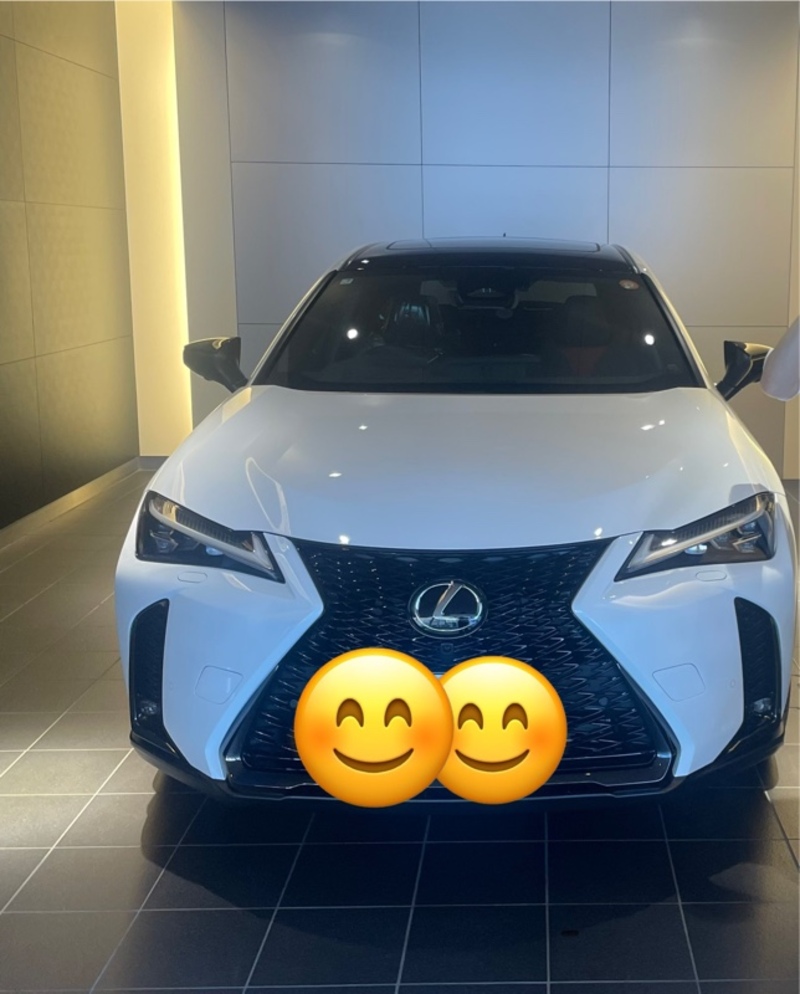 レクサス UXハイブリッド 300h“Fスポーツ エモーショナルエクスプローラー”(CVT_2.0)