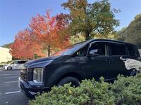 三菱 デリカD:5 シャモニー(電動サイドステップ装着車)_7人乗り_4WD(AT_2.3)