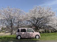 ダイハツ ミラココア プラスX(CVT_0.66)
