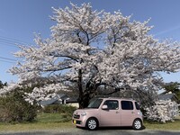 ダイハツ ミラココア プラスX(CVT_0.66)