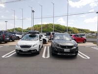 プジョー 3008 GT ブルーHDi_RHD(EAT_2.0)