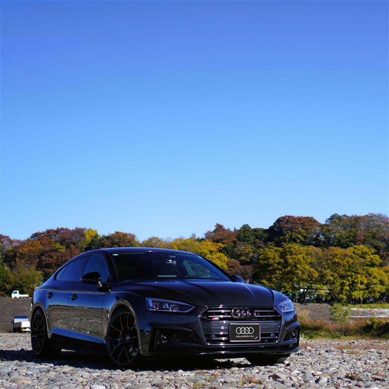 アウディ S5 スポーツバック スポーツバック_LHD_4WD(AT_3.0)