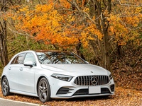 メルセデス・ベンツ Aクラス A200d_RHD(DCT_2.0)