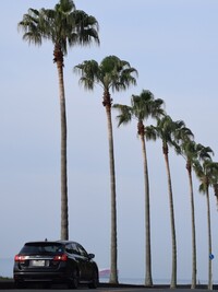 スバル レヴォーグ 1.6GT-S アイサイト_AWD(CVT_1.6)