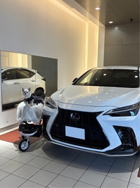 レクサス NXハイブリッド 350h“Fスポーツ”(CVT_2.5)