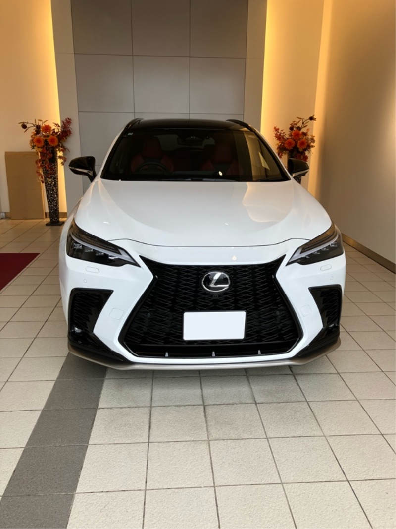 レクサス NXハイブリッド 350h“Fスポーツ”(CVT_2.5)