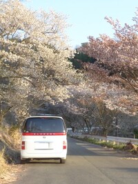 日産 エルグランド 3.5L XL_4WD(AT_3.5)