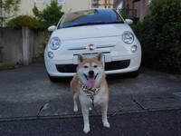 フィアット 500 （ハッチバック） 500 ゴー＆ファン_RHD(ATモード付シーケンシャル_1.2)