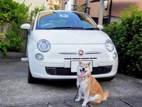 フィアット 500 （ハッチバック） 500 ゴー＆ファン_RHD(ATモード付シーケンシャル_1.2)