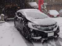 ホンダ フィットハイブリッド ハイブリッド Sパッケージ(DCT_1.5)