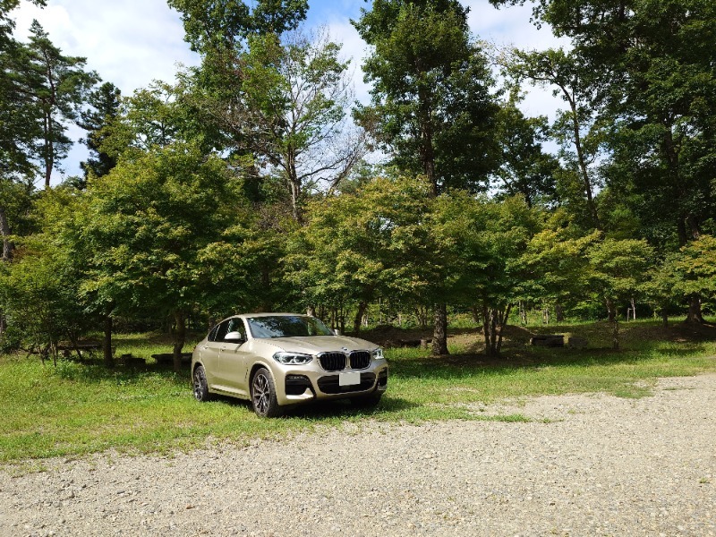 BMW X4 xドライブ 20d Mスポーツ_RHD_4WD(AT_2.0)