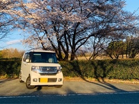 ホンダ N-BOXカスタム G・ターボLパッケージ(CVT_0.66)