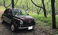 日産 マーチ 12Sコレットf(AT_1.2)