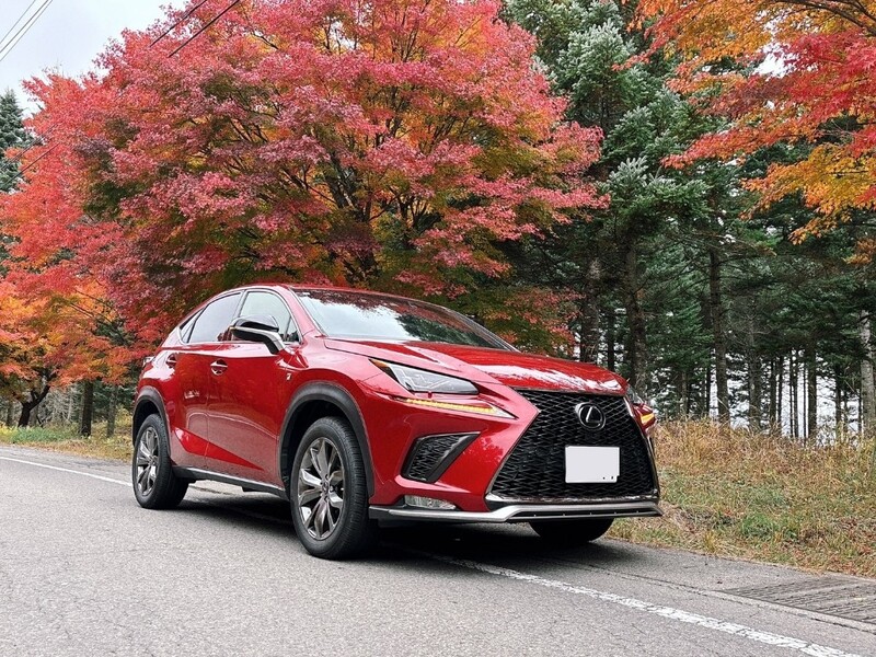 レクサス NX 300“Fスポーツ”_AWD(ECT_2.0)