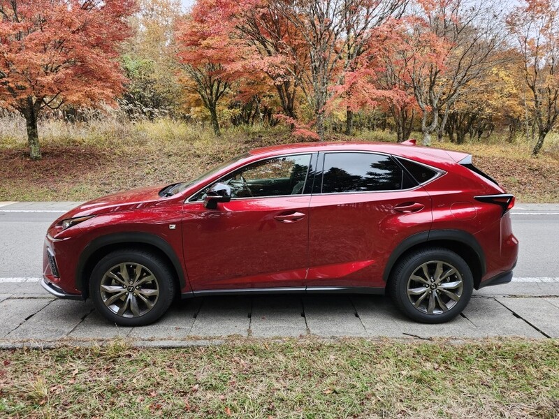 レクサス NX 300“Fスポーツ”_AWD(ECT_2.0)