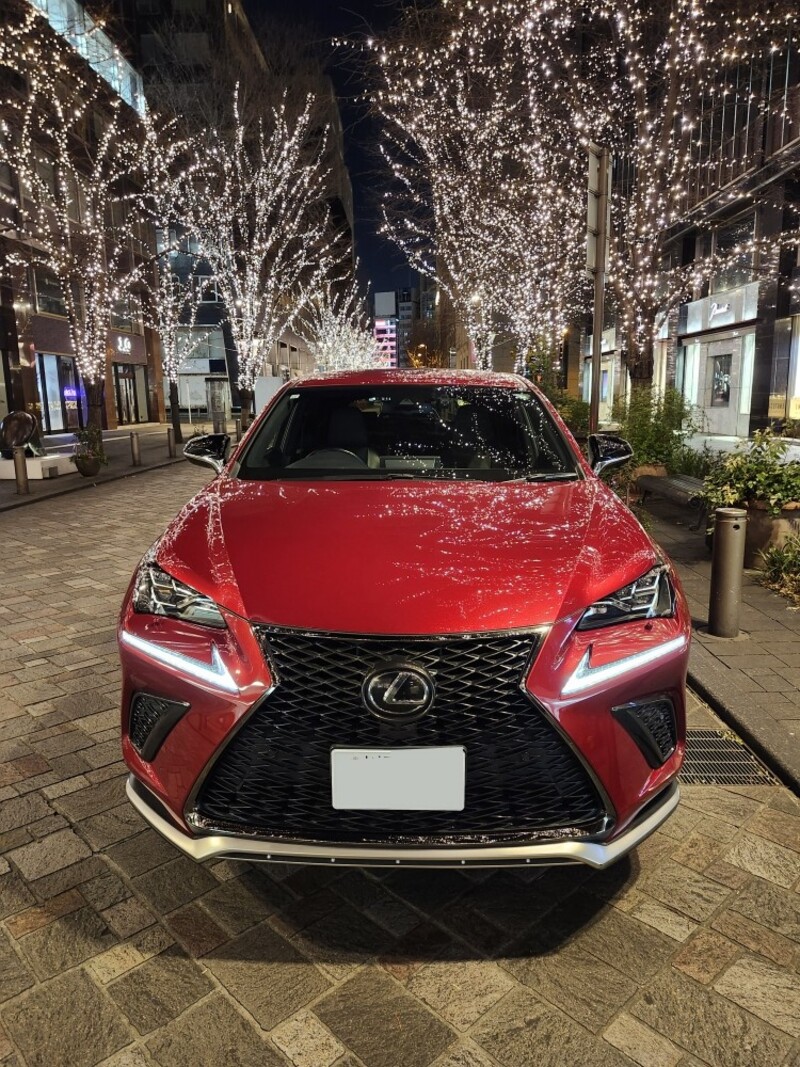 レクサス NX 300“Fスポーツ”_AWD(ECT_2.0)