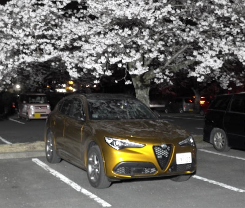 アルファロメオ ステルヴィオ 2.0 ターボ Q4 ヴェローチェ GTジュニア_RHD_4WD(AT_2.0)