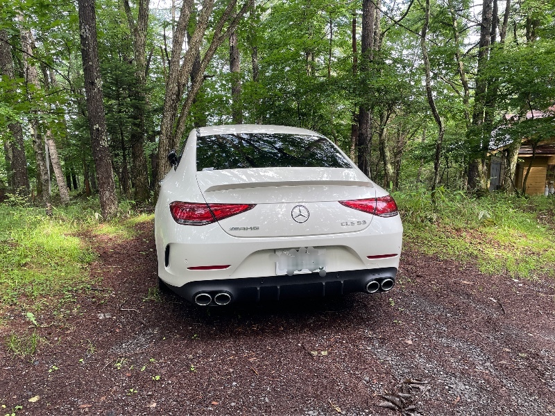 メルセデスAMG CLSクラス メルセデスAMG CLS53 4マチック＋(ISG搭載モデル)_RHD_4WD(AT_3.0)