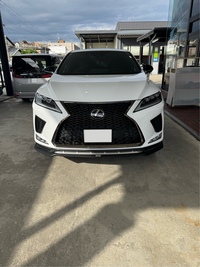 レクサス RX 300“Fスポーツ”(ECT_2.0)