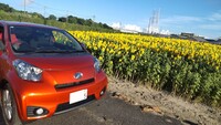 トヨタ iQ 130G MT(MT_1.3)