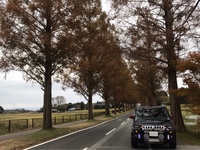 三菱 デリカD:5 G-パワーパッケージ_8人乗り_4WD(CVT_2.4)