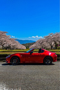 マツダ ロードスターRF RS(MT_2.0)