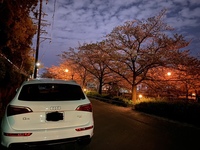 アウディ Q5