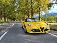 アルファロメオ 4C スパイダー 4C スパイダー_RHD(Alfa TCT_1.8)