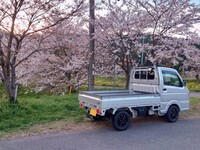 スズキ キャリイトラック KC エアコン・パワステ_4WD(AGS_0.66)