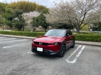 マツダ MX-30 ナチュラルモノトーン(AT_2.0)