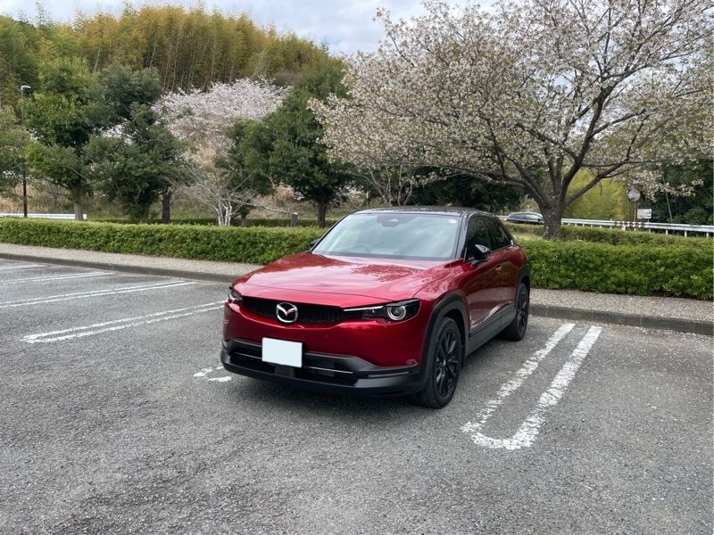 マツダ MX-30 ナチュラルモノトーン(AT_2.0)