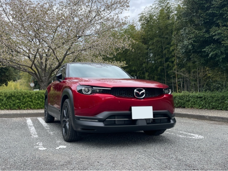 マツダ MX-30 ナチュラルモノトーン(AT_2.0)