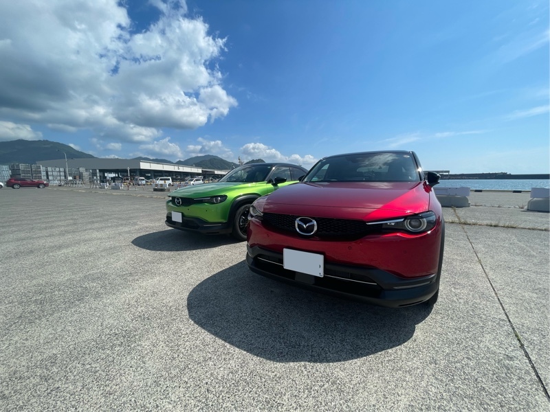 マツダ MX-30 ナチュラルモノトーン(AT_2.0)