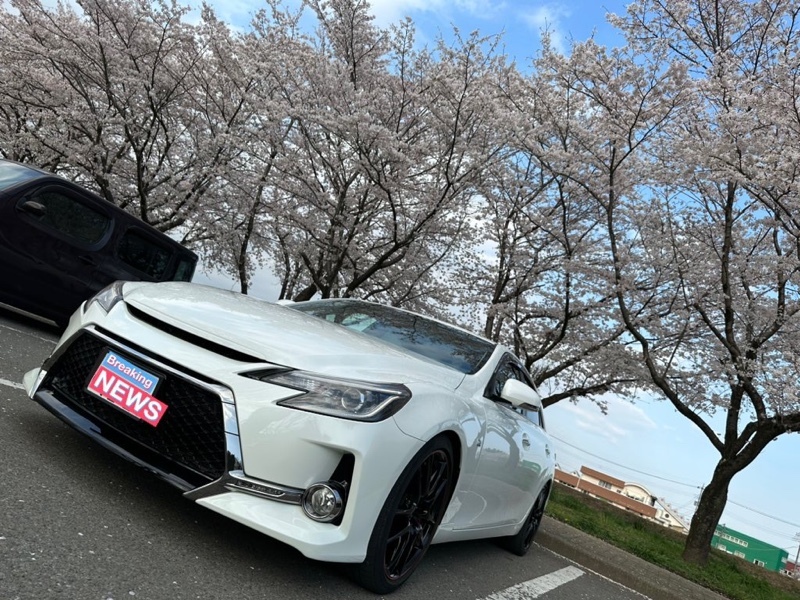 トヨタ マークX