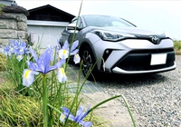 トヨタ C-HR G-T(CVT_1.2)