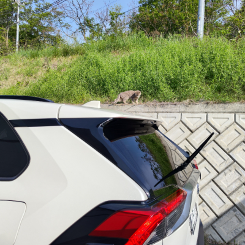 トヨタ RAV4