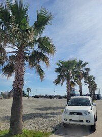 トヨタ ラッシュ G_4WD(AT_1.5)