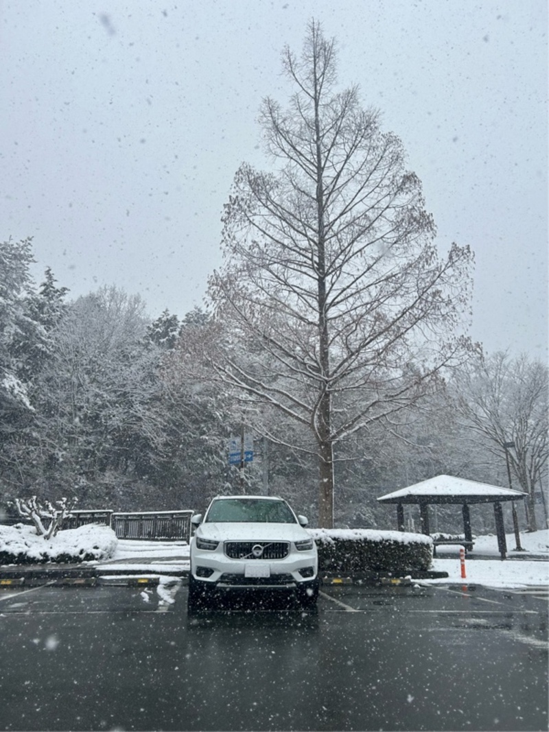 ボルボ XC40 B4 AWD インスクリプション_RHD_AWD(AT_2.0)