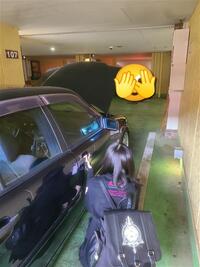 メルセデス・ベンツ Cクラス セダン C200セレクションRHD(セダン_AT)
