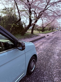 ホンダ N-ONE セレクト ツアラー(CVT_0.66)