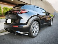 マツダ CX-30 20S プロアクティブ ツーリングセレクション(AT_2.0)