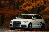 アウディ Q5 2.0 TFSI クワトロ Sライン_RHD_4WD(AT_2.0)