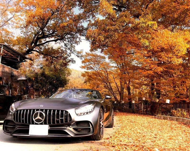 メルセデスAMG AMG GT ロードスター メルセデスAMG GT C ロードスター_LHD(DCT_4.0)