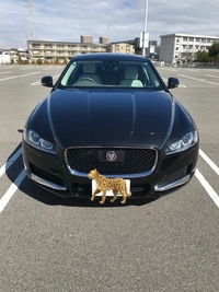 ジャガー XF