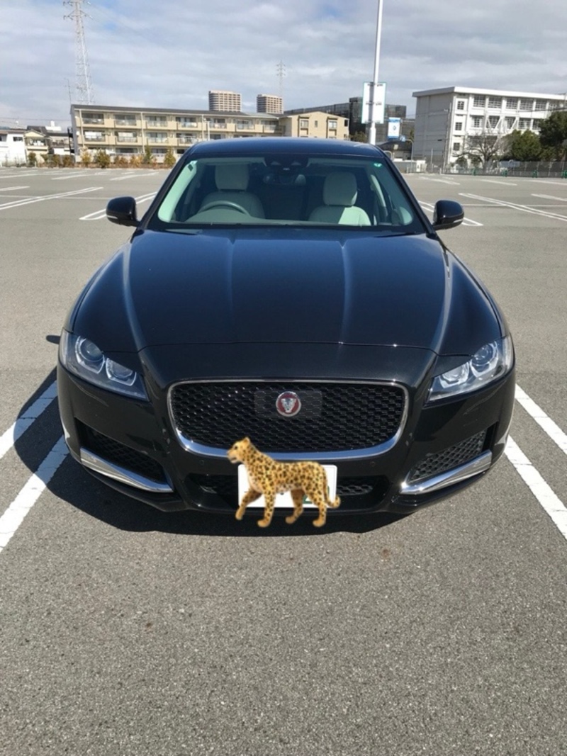 ジャガー XF