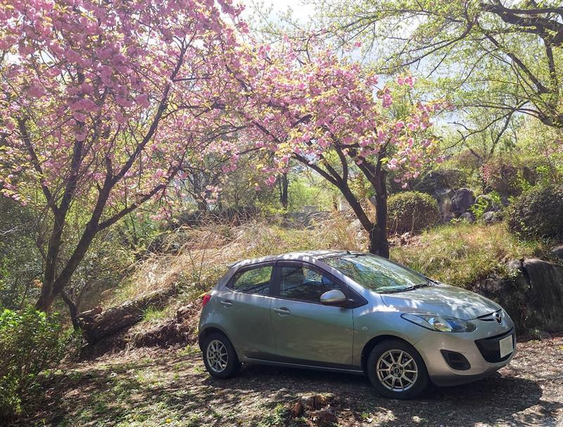 マツダ デミオ 15C(MT_1.5)