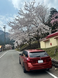 BMW 3シリーズ ツーリング 320d ツーリング Mスポーツ エディションシャドー_RHD(AT_2.0)
