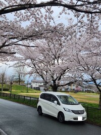 ホンダ フリード フレックス_5人乗り（CVT_1.5)